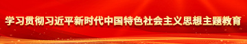 操女人的骚逼学习贯彻习近平新时代中国特色社会主义思想主题教育